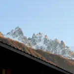 Experience Mont Blanc With Your Family シャモニー