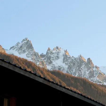 Magnificent With View On The Mont Blanc *